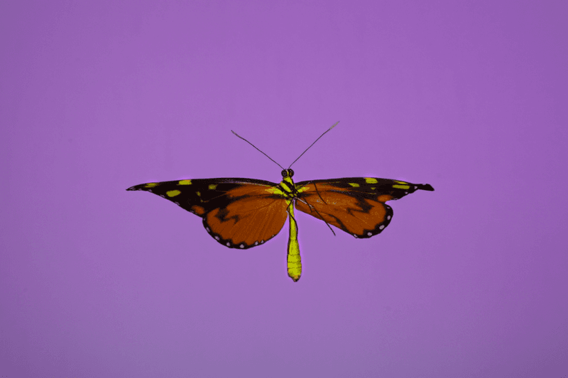 安德烈·加尔瓦尼亚洲首展《虚空迁徙至表面》于 Fotografiska 影像艺术中心呈现