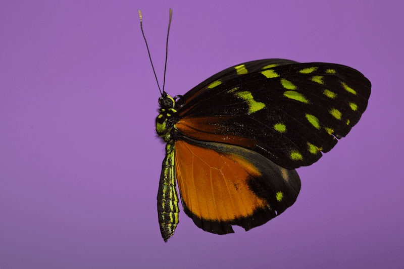 安德烈·加尔瓦尼亚洲首展《虚空迁徙至表面》于 Fotografiska 影像艺术中心呈现