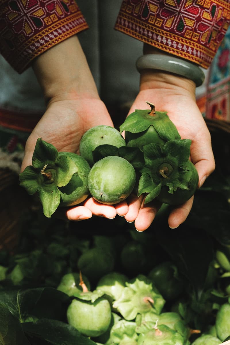 DENHAM x 蜡染非遗系列限量发布