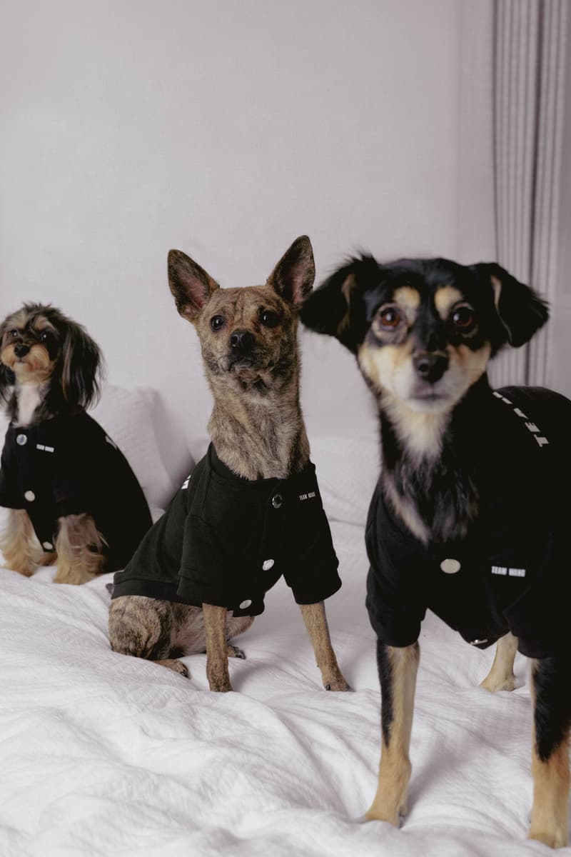 TEAM WANG design 发布 THE ORIGINAL 1 全新生活方式子系列「FRIENDS」