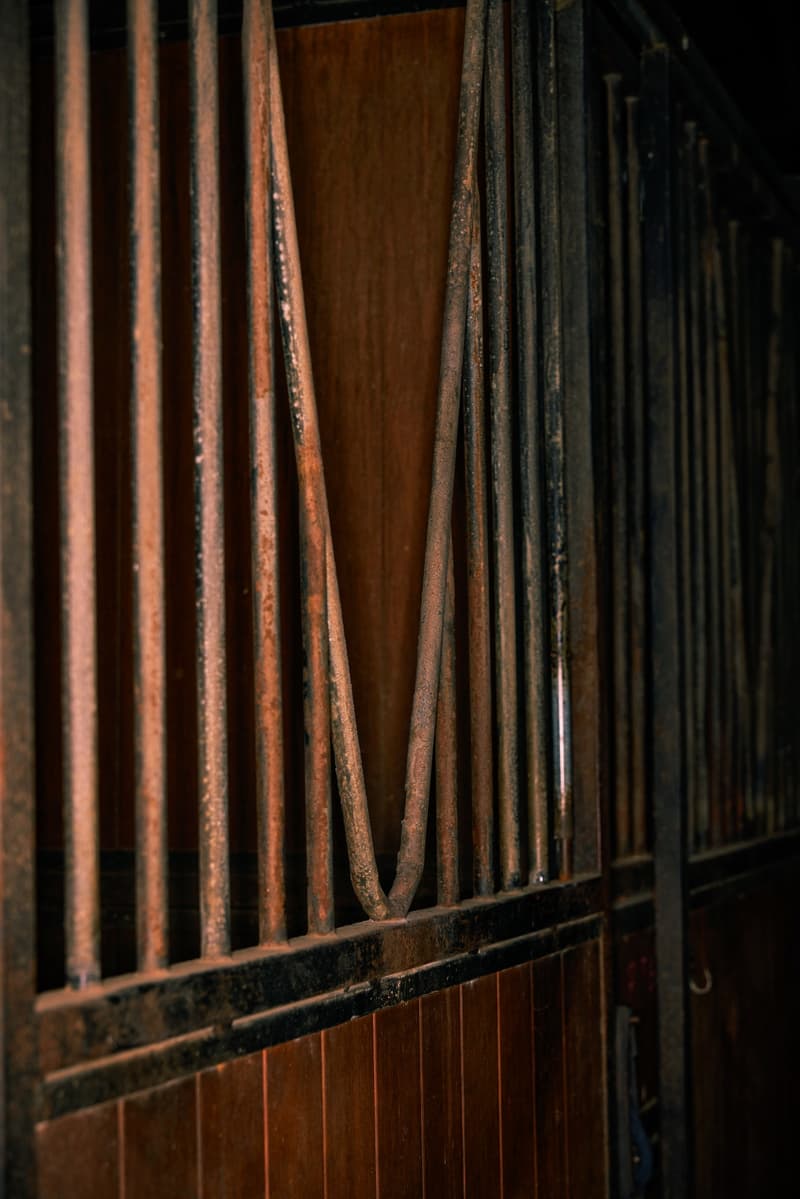 VISION STREET WEAR 释出 2026 马年特别系列