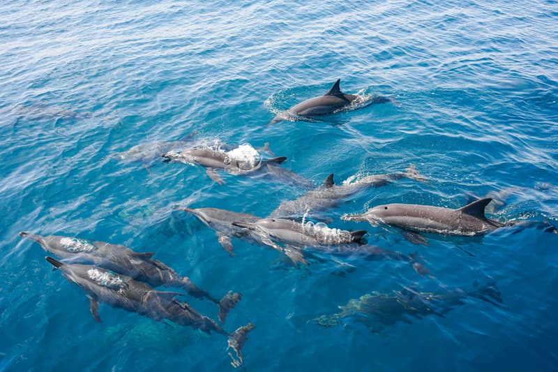 从度假村到绿茵场，Club Med地中海俱乐部如何让运动成为新的「社交语言」？