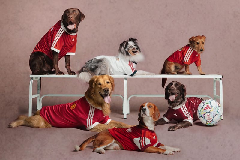 adidas Originals 為寵物推出 Real Madrid 與 Manchester United 球衣