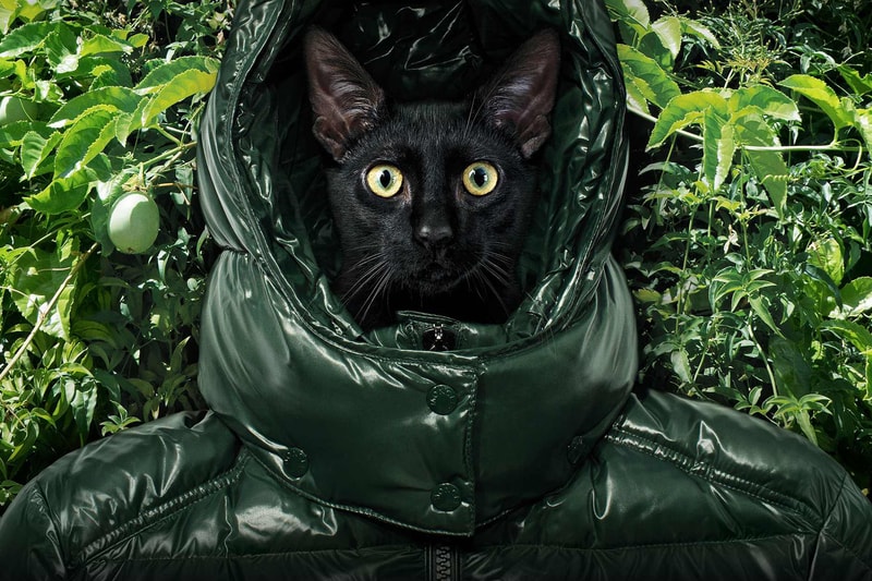 《New York in Moncler》即将登陆纽约