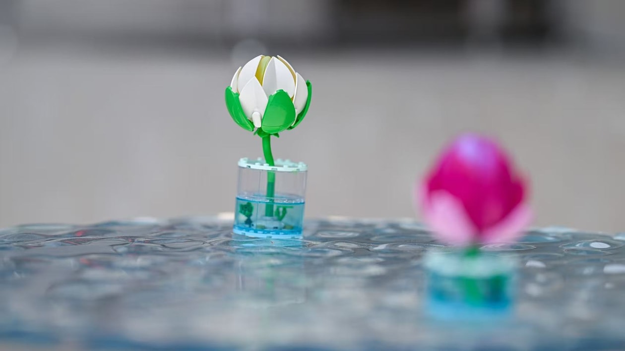 从消费者到创作者：乐高®花植如何撬动当代青年的「审美主体性」？