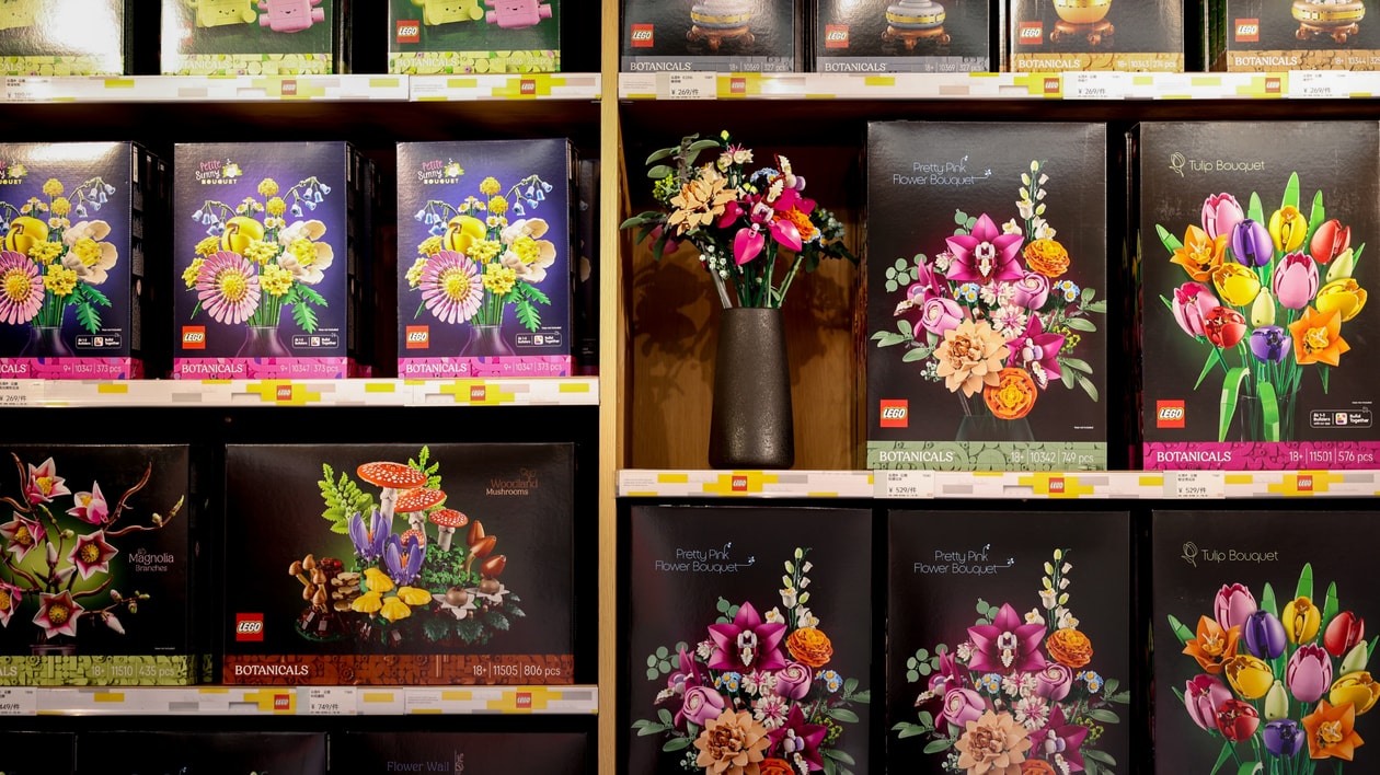 从消费者到创作者：乐高®花植如何撬动当代青年的「审美主体性」？