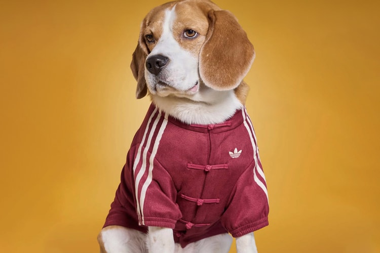 adidas bringt seine virale China-Style-Trainingsjacke in die neue Pets-Kollektion