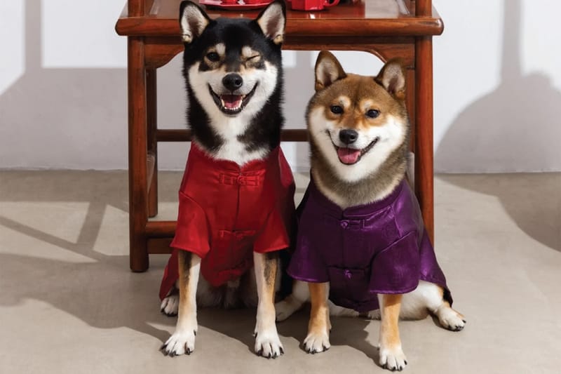 Paws & Prosperity: CLOT präsentiert festliche Lunar-New-Year-Kollektion für Haustiere
