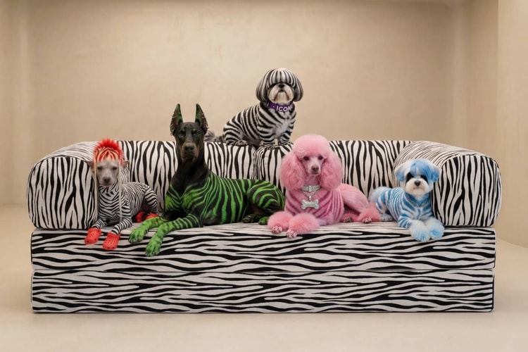 OMHU TEDDY-Sofa im Zebra-Look: Das Kultmöbel dreht durch