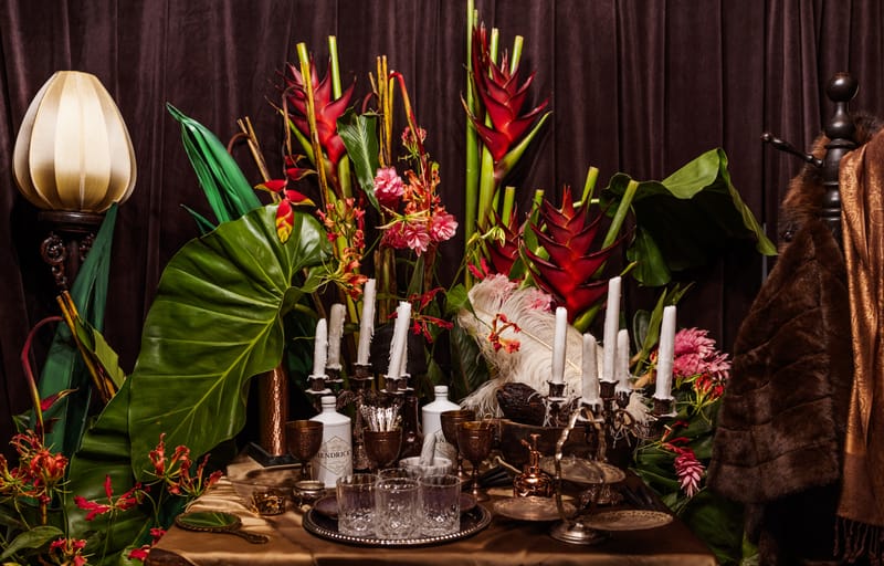 Wir sind im Rabbit Hole von Hendrick's Anotherland verschwunden