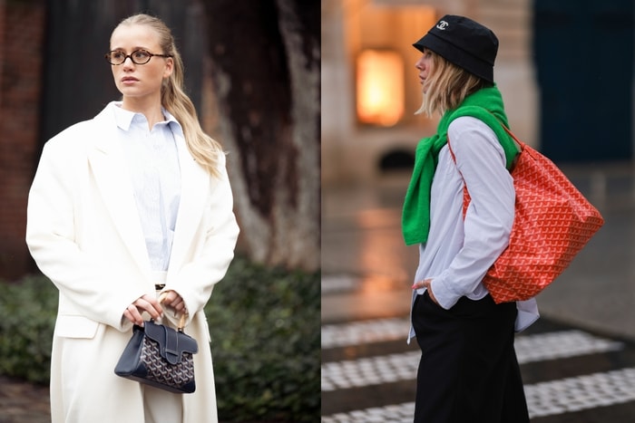 Worth More Than New: 4 Goyard Bags to Watch in 2025, Including One With a 139% Resale Value