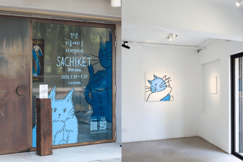 The blue cat that lives in the city is here: Haydonna’s new character Sachiket makes its debut, with Taipei hosting the first-ever global exhibition