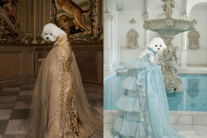 Pets have their own haute couture too: Indonesian brand Pawstyle is redefining pet fashion!