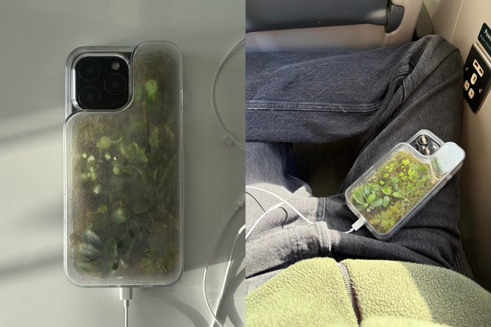 Slip a whole forest into your pocket with this exclusive iPhone “terrarium phone case” that feels almost illegal