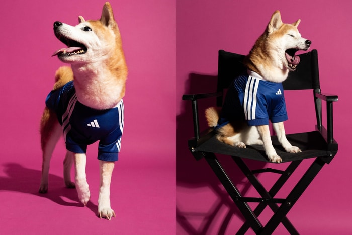 Watch the World Cup with your fur baby! adidas launches its first 2026 World Cup pet jerseys, and they’re bound to sell out fast