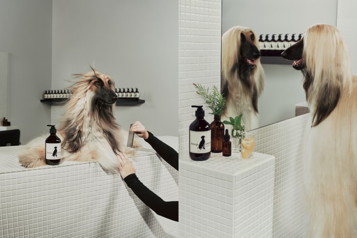 A sensory party just for dogs: Aesop Paw Parlour arrives in Hong Kong, bring your pup to customize a special neckerchief