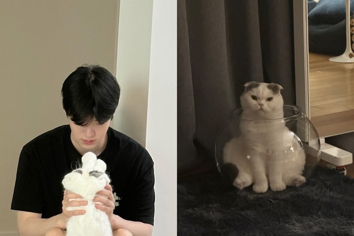 These heartthrobs are total cat slaves too, and their 5 fur babies are living the good life! Gong Yoo’s Kong Kong and Ahn Jae-hyun’s Anju are even more popular than their owners