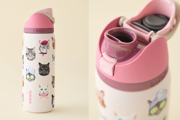 Stop forgetting to drink water: Owala limited-edition “Cat Collage” insulated bottle is exclusively available here