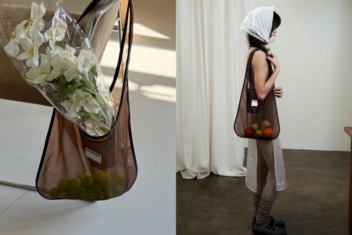 A must-have niche bag for spring and summer: Tenera sheer mesh Hobo Bag, perfect for weekend picnics