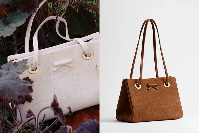 After Lady Dior and the Saddle? Dior’s new Promenade bag aims to make this bow the next It Bag