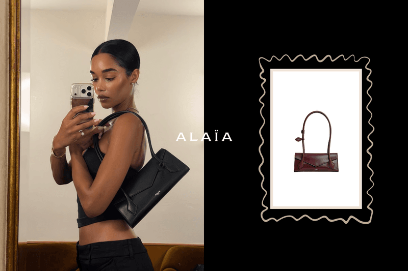An envelope flap makes the dachshund bag more elegant: Alaïa’s popular Le Teckel launches a brand-new Flap version!