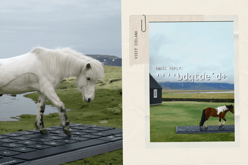 Don't Want to Answer Emails on Vacation? Iceland's Tourism Board Hires a "Horse Secretary" to Type for You, With Auto-Replies That Are Surprisingly Sincere