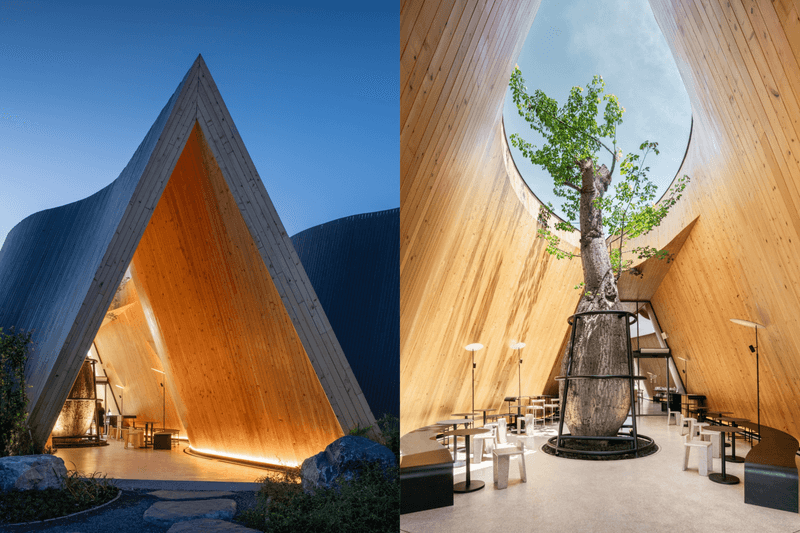 Thailand has a cafe that grows with the trees! A special slit in the roof lets the giant trees continue reaching for the sky