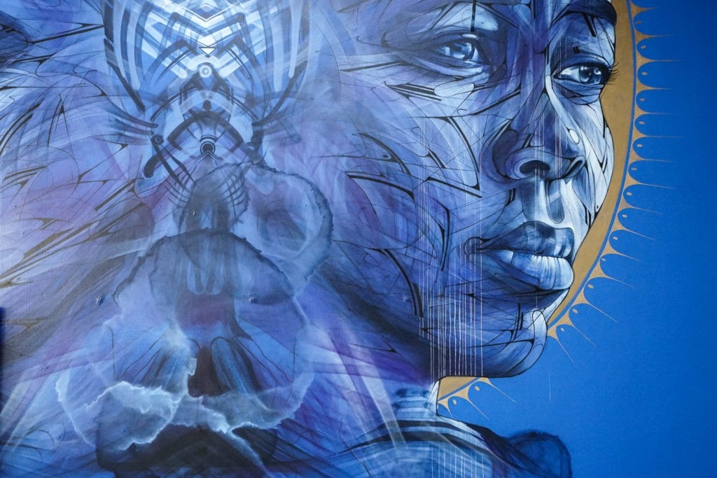 Mister Freeze Contemporary Art Graffiti Toulouse