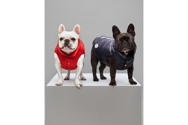Le Mondog une doudoune pour chien par Moncler en nylon laqué