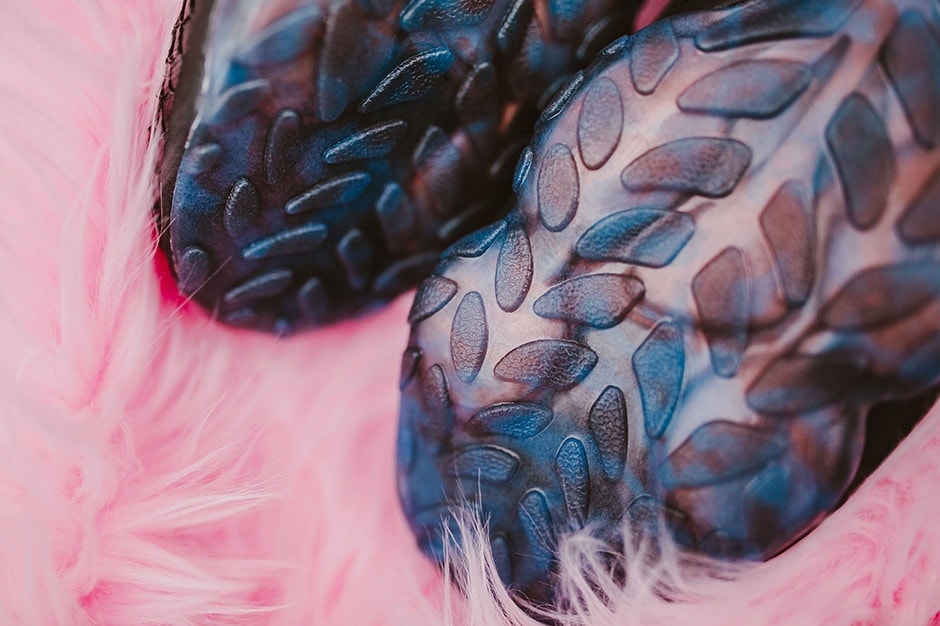 Reebok Cam’Ron DMX Run 10