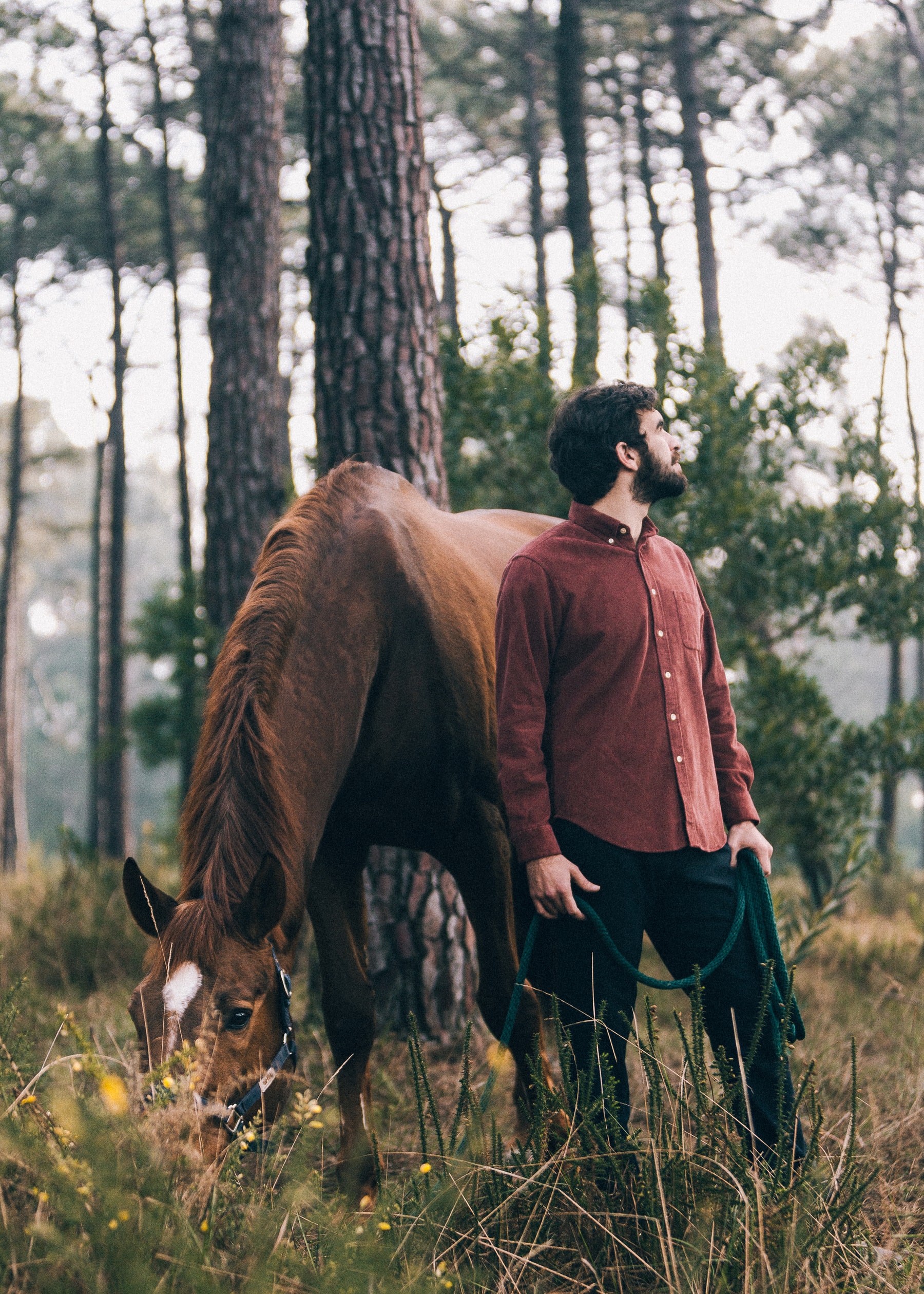 Portuguese Flannel “Luisitania” Collection Automne/Hiver 2017