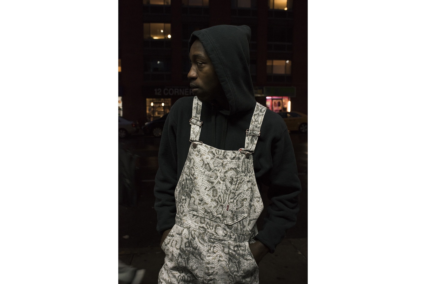 Collection Supreme Levis Automne Hiver 2017 Imprimé Serpent Lookbooks