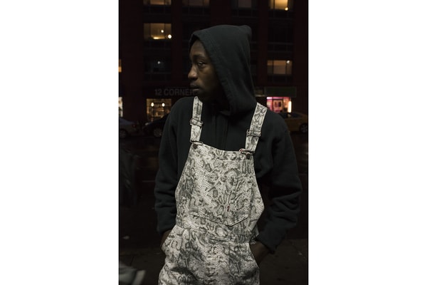 Collection Supreme Levis Automne Hiver 2017 Imprimé Serpent Lookbooks