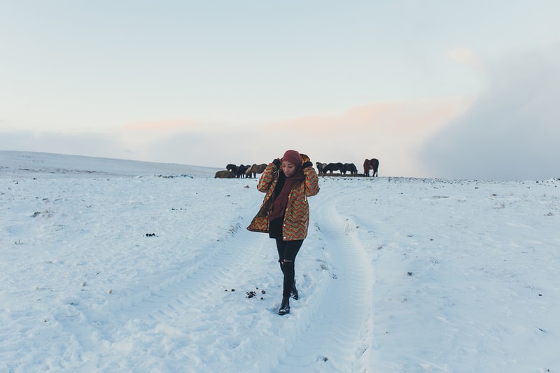 Ciré MAISON CHÂTEAU ROUGE Islande Húnaflói Kopeto Djala
