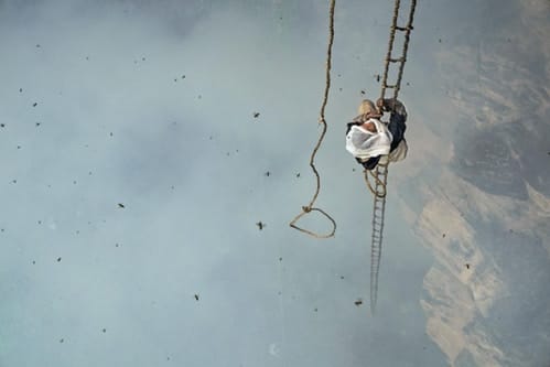 Les Meilleures Photos 2017 Par National Geographic