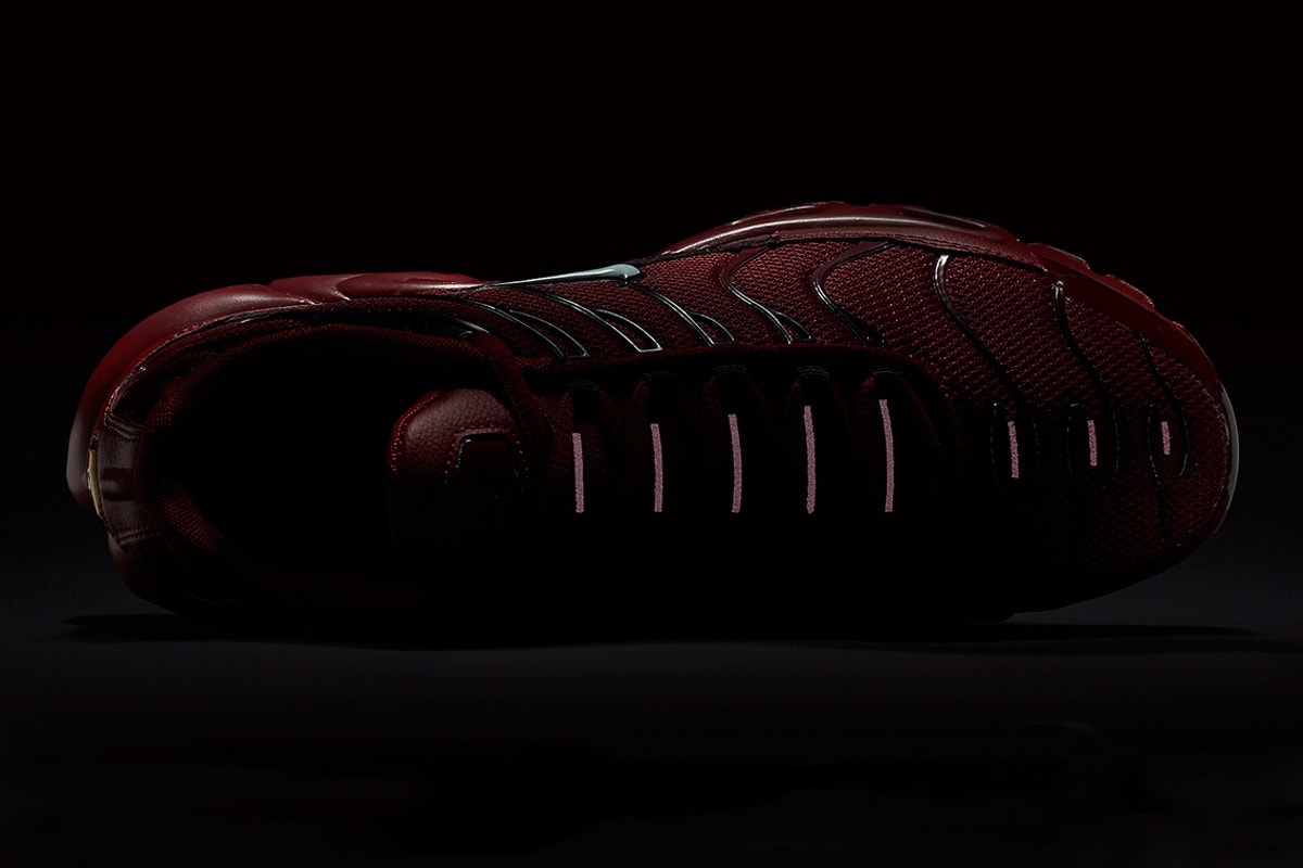 Nike Air Max Plus Team Red Close Up