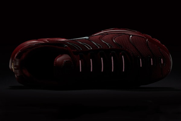 Nike Air Max Plus Team Red Close Up