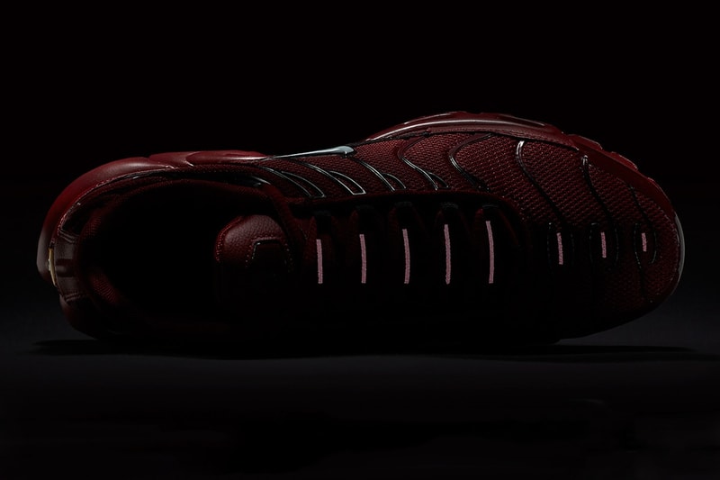 Nike Air Max Plus Team Red Close Up