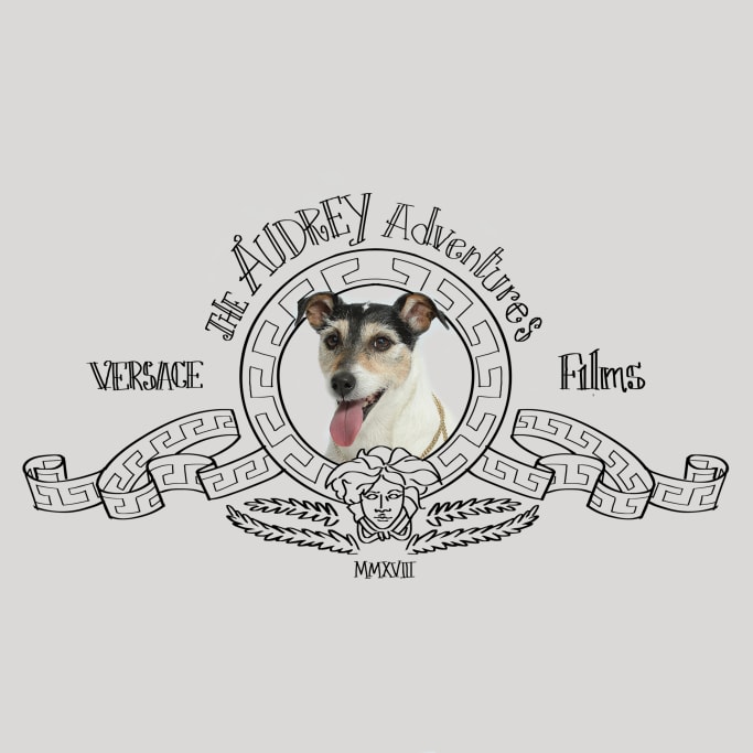 Donatella Versace Collection Capsule Chien Jack Russel Audrey Chinese New Year Nouvel An Chinois
