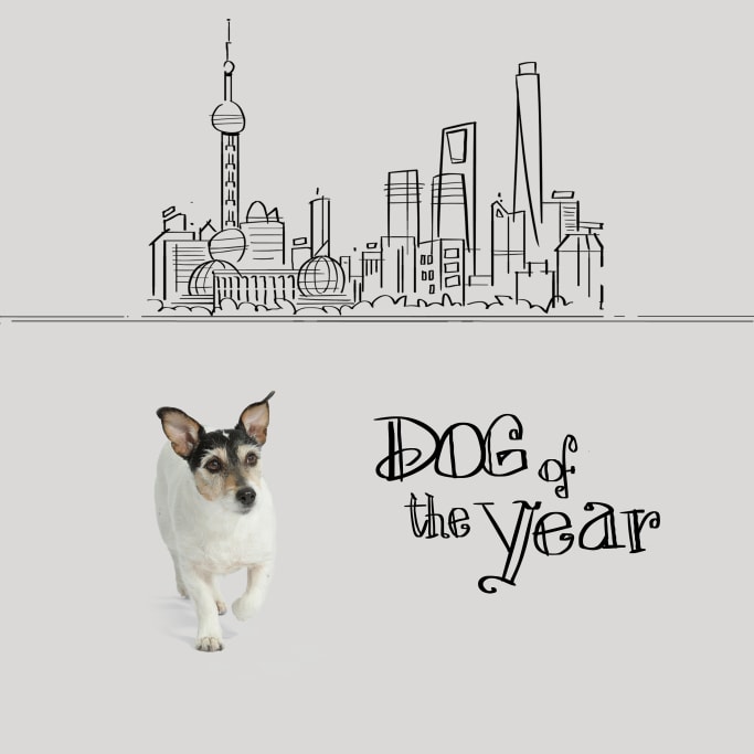 Donatella Versace Collection Capsule Chien Jack Russel Audrey Chinese New Year Nouvel An Chinois