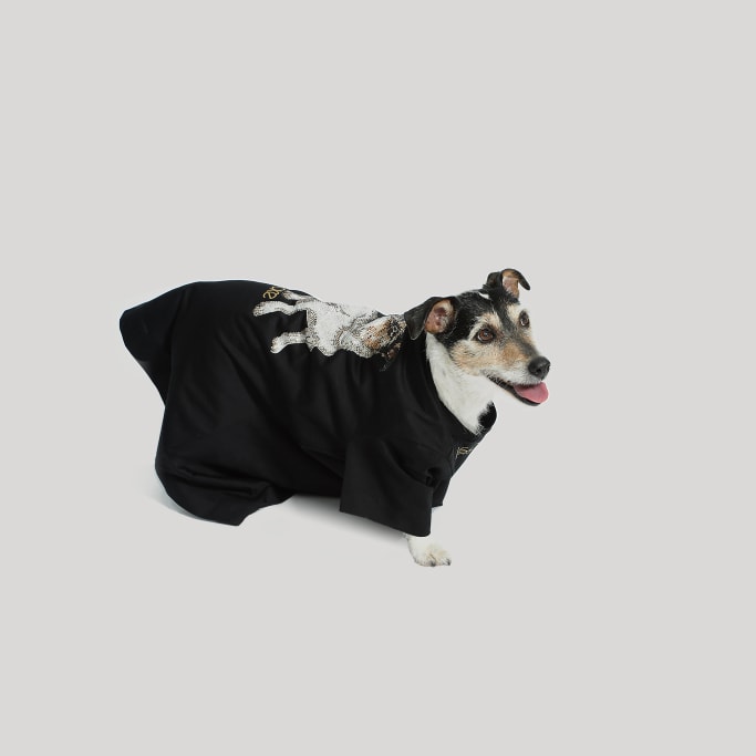 Donatella Versace Collection Capsule Chien Jack Russel Audrey Chinese New Year Nouvel An Chinois