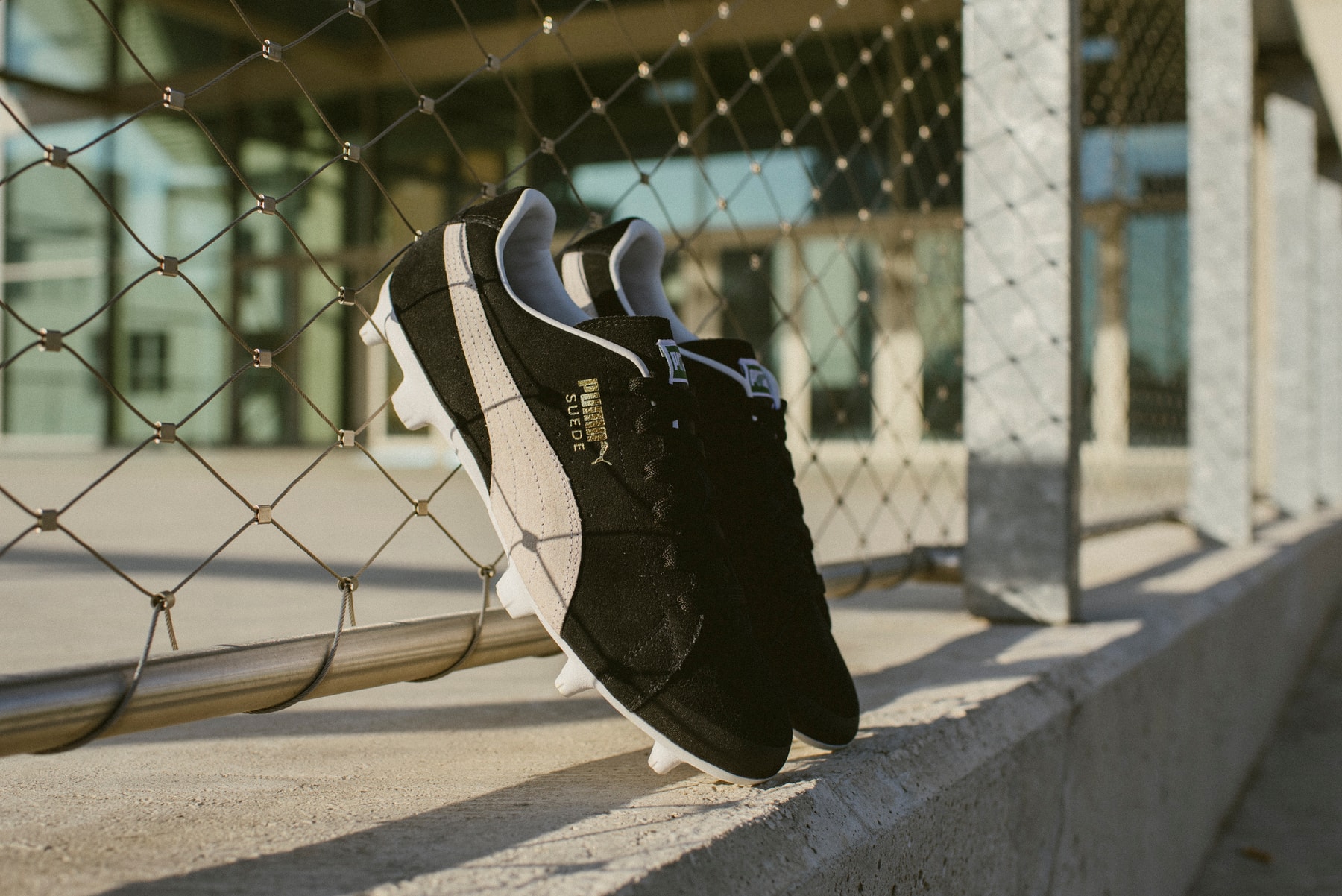 Photos De La PUMA FUTURE Suede 50 Pack