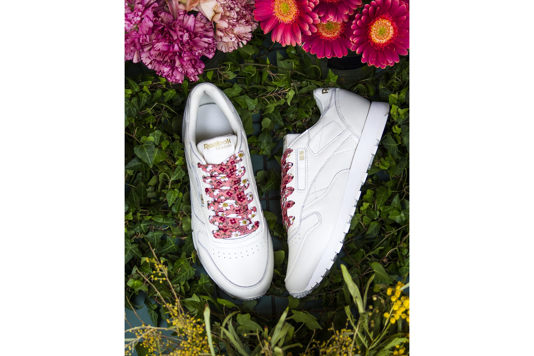Reebok Courir Collection Collaboration SPRING CRUSH Printemps