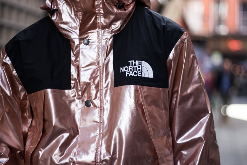 Supreme The North Face Metallic Collection 2018 Street Styles