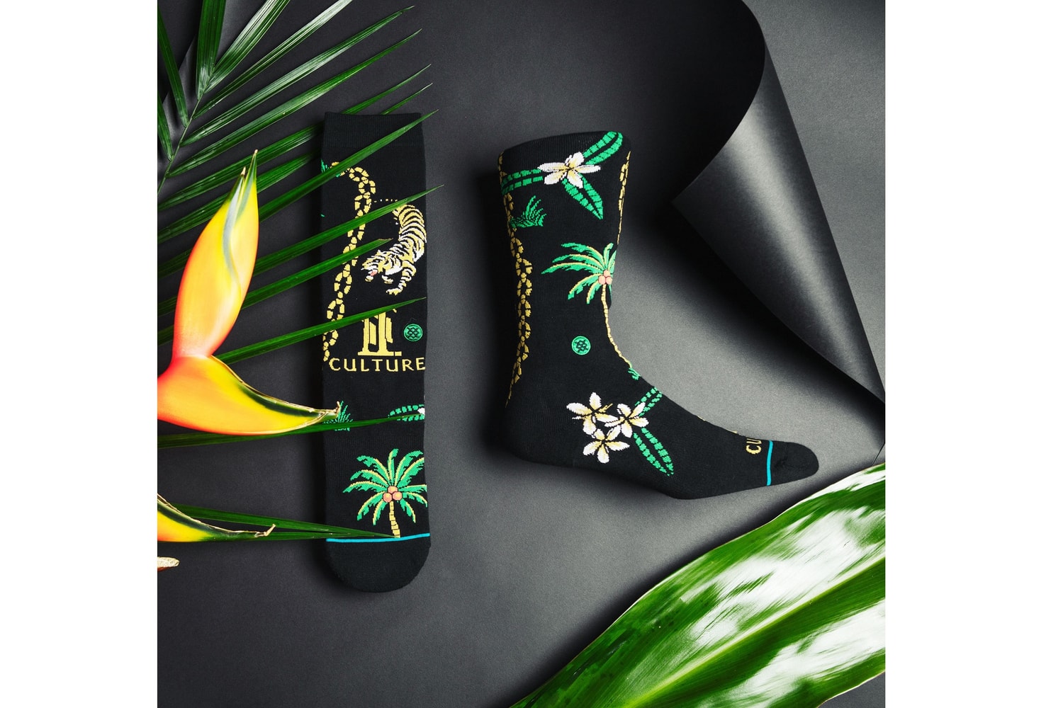 Migos, Stance, Chaussettes