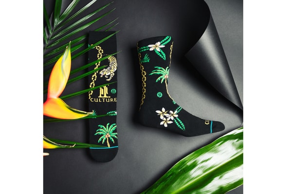 Migos, Stance, Chaussettes