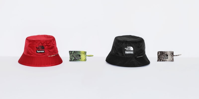 Photo Supreme x The North Face
