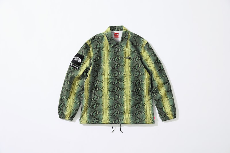 Photo Supreme x The North Face