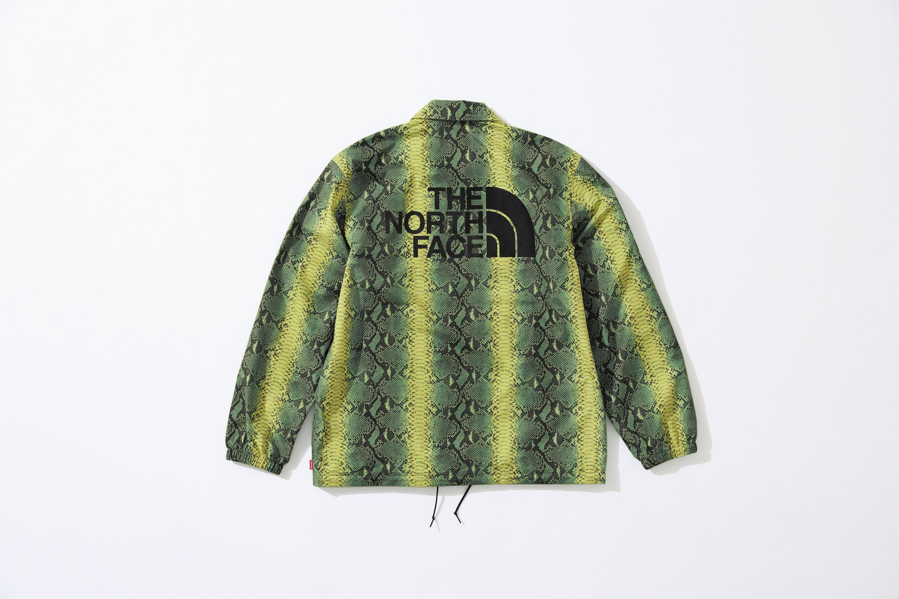 Photo Supreme x The North Face