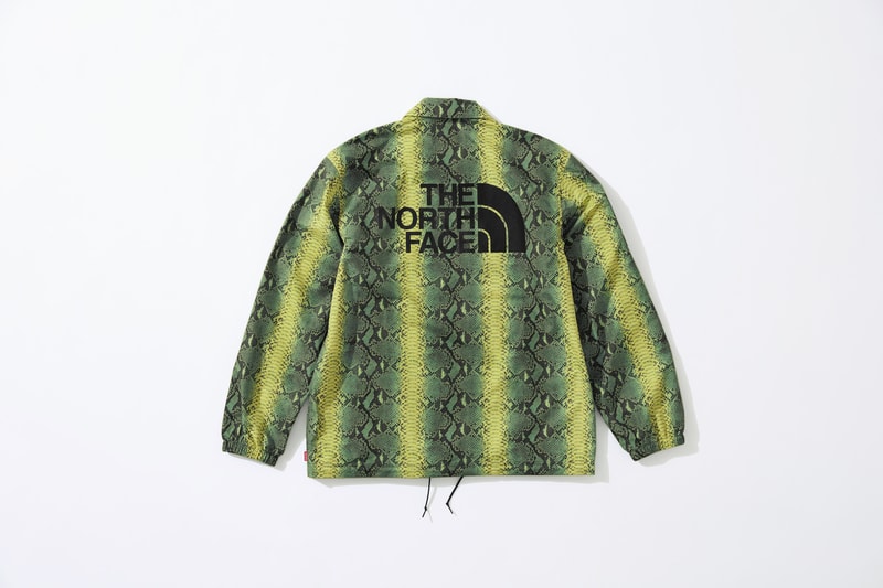 Photo Supreme x The North Face